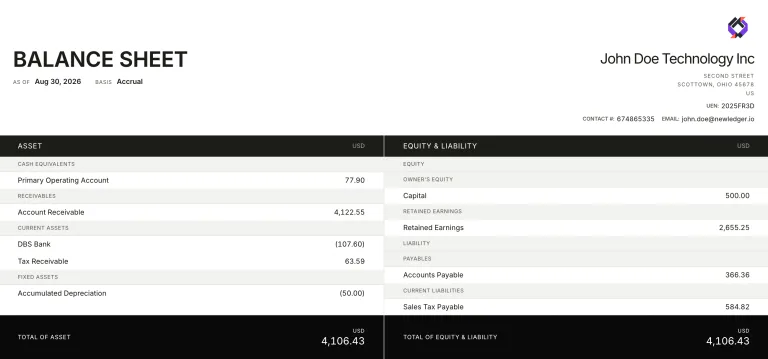 NewLedger balance sheet report with balanced assets, equity, and liabilities